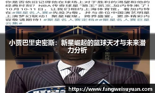 BB贝博艾弗森体育