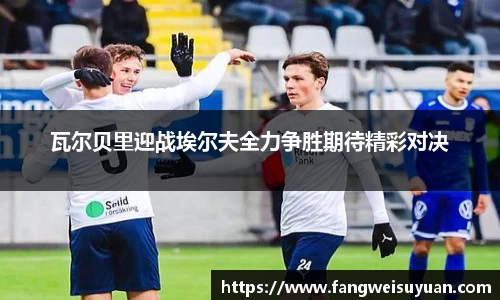 中国·BB贝博艾弗森