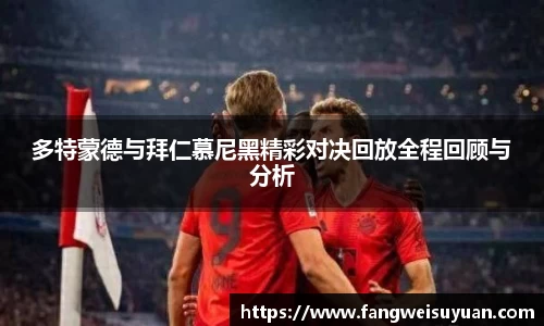 BB贝博艾弗森体育