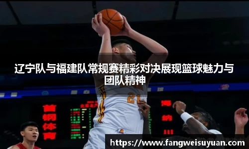 BB贝博艾弗森体育