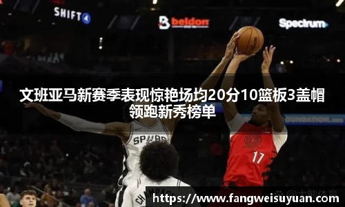 BB贝博艾弗森体育