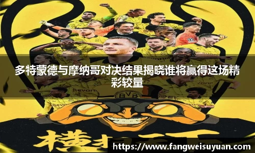 BB贝博艾弗森体育