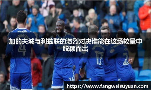 中国·BB贝博艾弗森