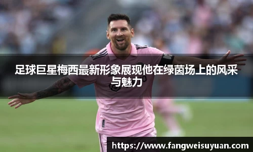 BB贝博艾弗森体育