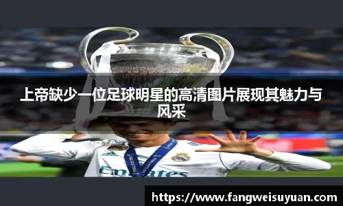 BB贝博艾弗森体育