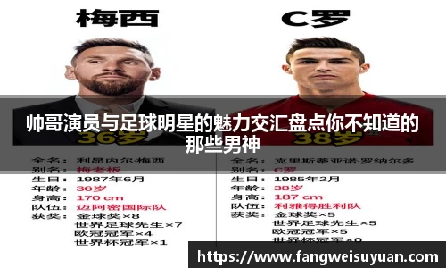 BB贝博艾弗森体育