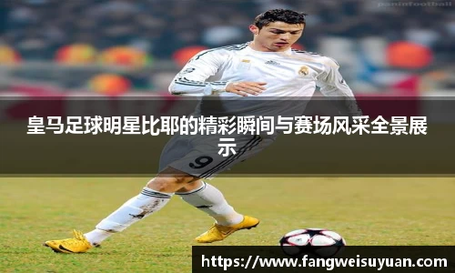 中国·BB贝博艾弗森