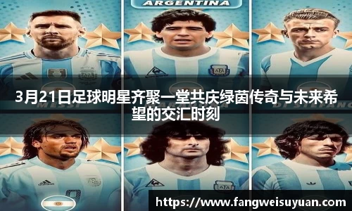 中国·BB贝博艾弗森